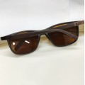 Чоловічі Polarized SL0010 brown